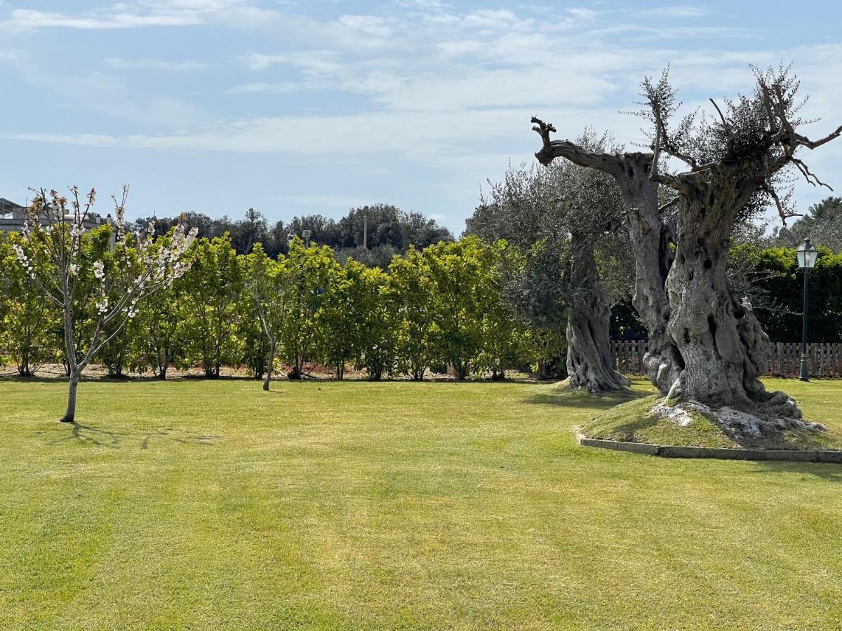 Masseria Giamarra การ์ปิญาโน ซาเลนติโน ภายนอก รูปภาพ
