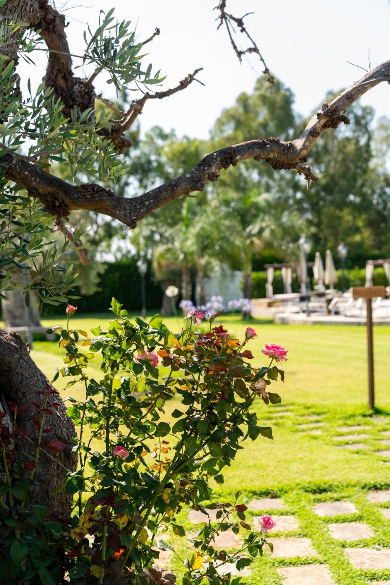 Masseria Giamarra การ์ปิญาโน ซาเลนติโน ภายนอก รูปภาพ