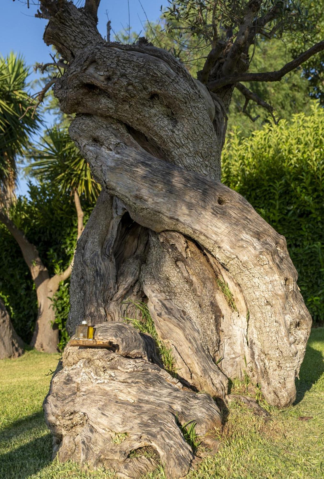 Masseria Giamarra การ์ปิญาโน ซาเลนติโน ภายนอก รูปภาพ
