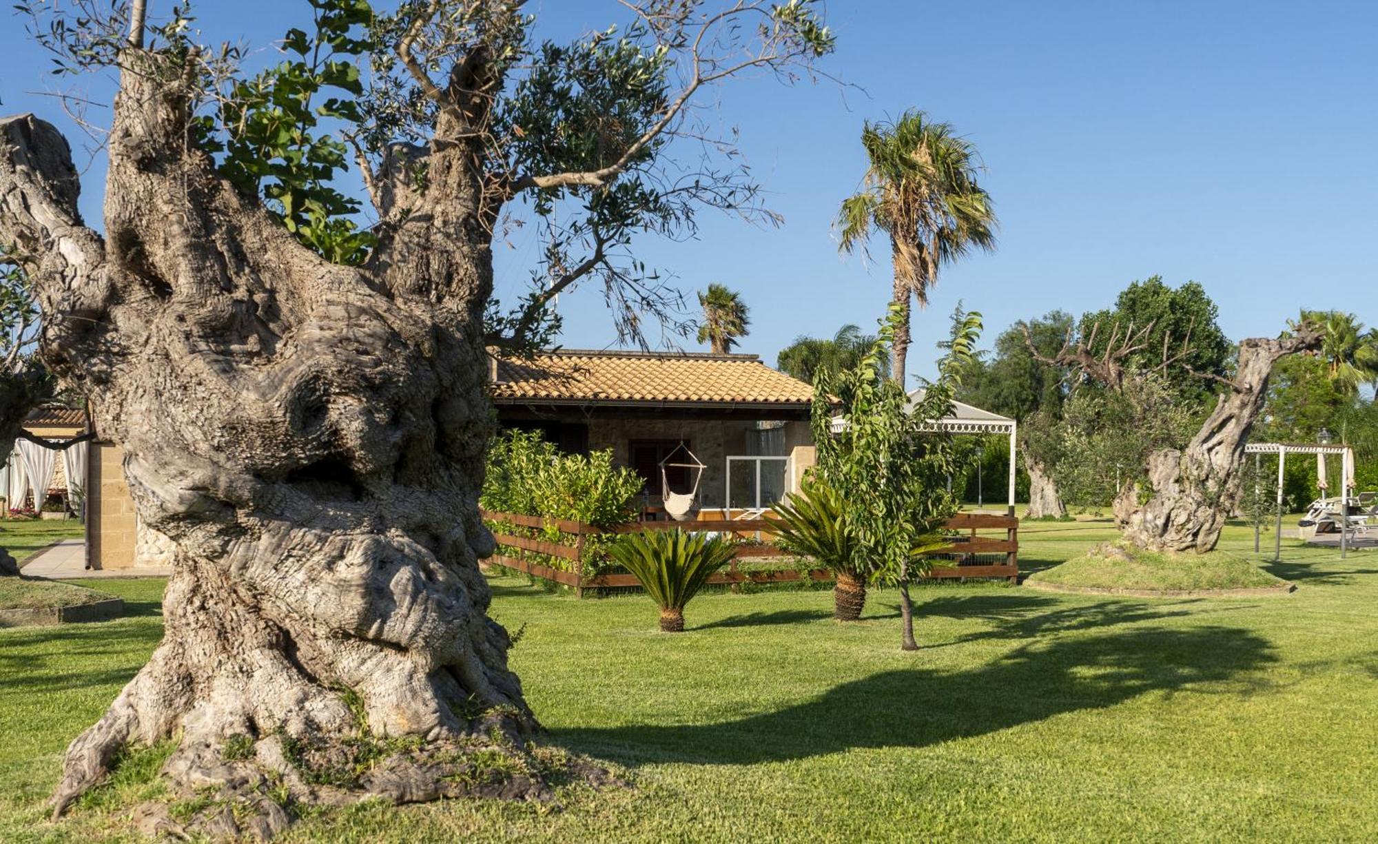 Masseria Giamarra การ์ปิญาโน ซาเลนติโน ภายนอก รูปภาพ